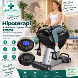 Hipoterapi At Binme Simülasyon Egzersiz Cihazı 